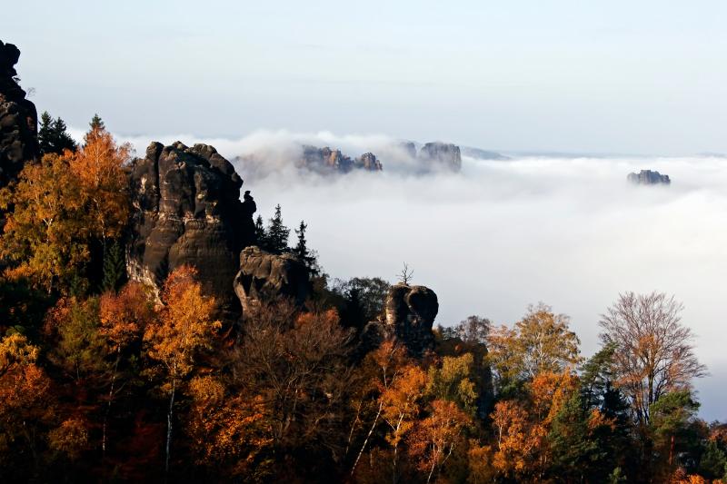 IMG_25620 20D.jpg - Blick gegen die Schrammsteine